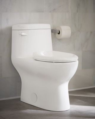 Toilette Avalanche